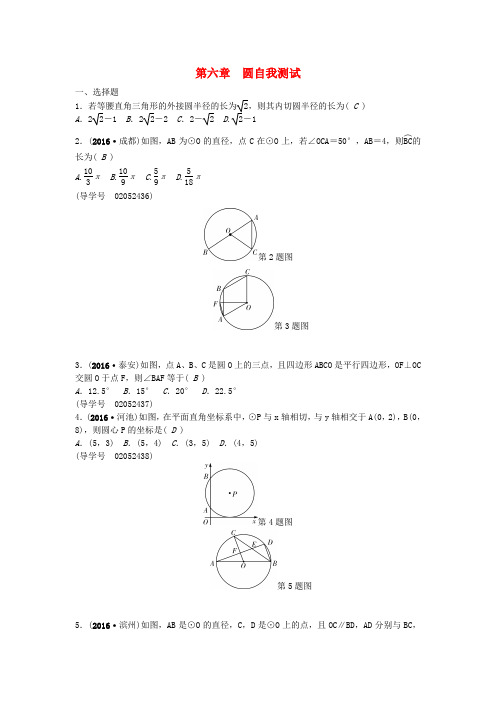 中考数学总复习第六章圆自我测试1