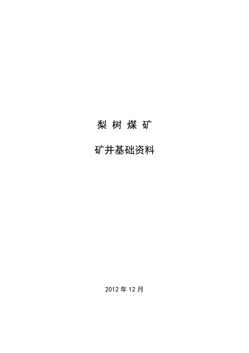 梨树矿井基础资料