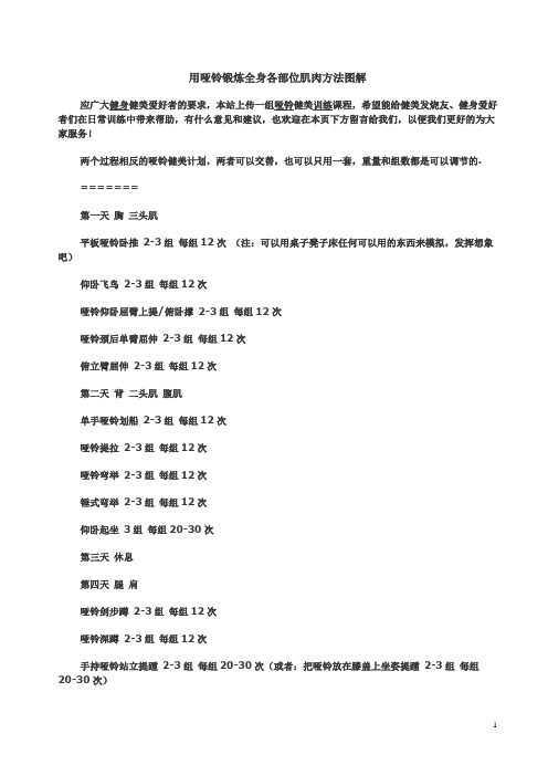 用哑铃锻炼全身各部位肌肉方法图解