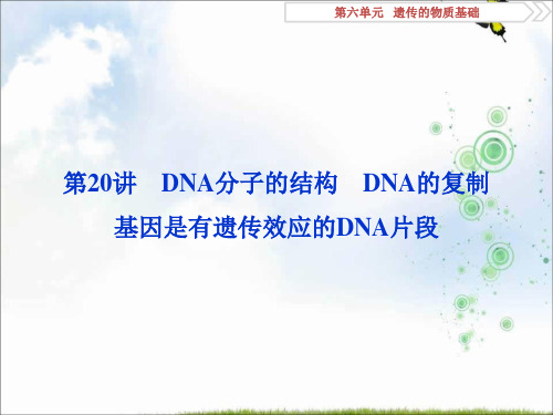 2019优化方案高考生物一轮复习课件:第20讲 DNA分子的结构 DNA的复制