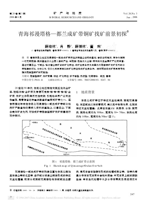 青海祁漫塔格_都兰成矿带铜矿找矿前景初探