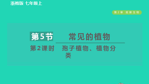 七年级科学上册第2章观察生物2、5常见的植物第2课时孢子植物植物分类习题课件新版浙教版