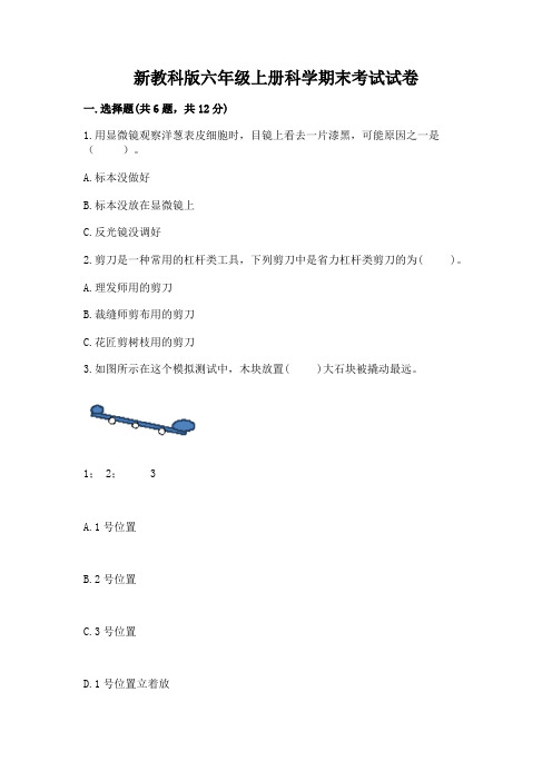 新教科版六年级上册科学期末考试试卷及答案1套