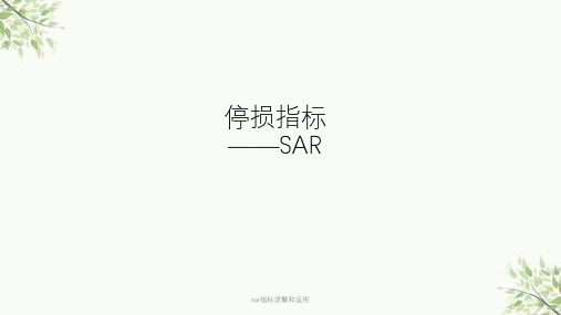 sar指标详解和运用课件