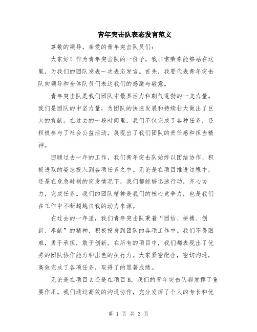 青年突击队表态发言范文