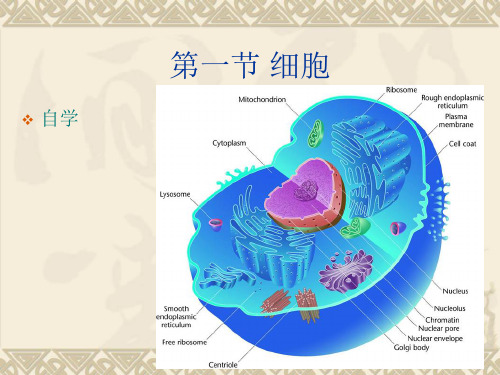 第二章遗传的细胞学基础