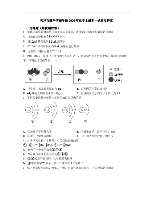 天津市耀华滨海学校2020年初三化学上册期中试卷及答案