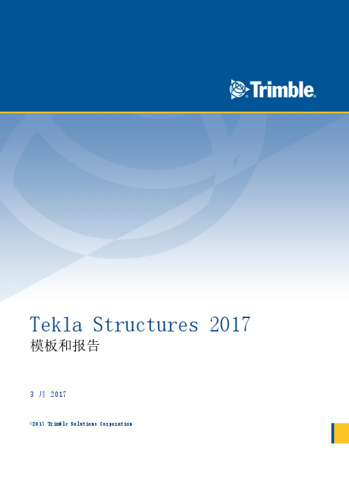 17-【Tekla Structures 2017离线帮助】模板和报告