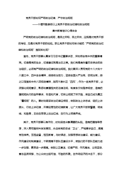 党员干部如何严明政治纪律(心得体会)