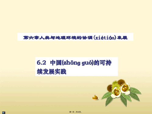 高中地理同步课件62中国的可持续发展实践31张新人教版必修2