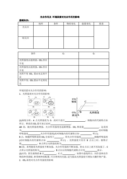 光合作用及 环境因素对光合作用的影响 (恢复)