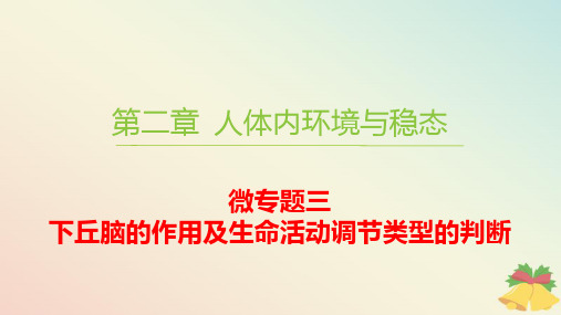 新教材高中生物第二章微专题三下丘脑的作用及生命活动调节类型的判断pptx课件苏教版选择性必修1