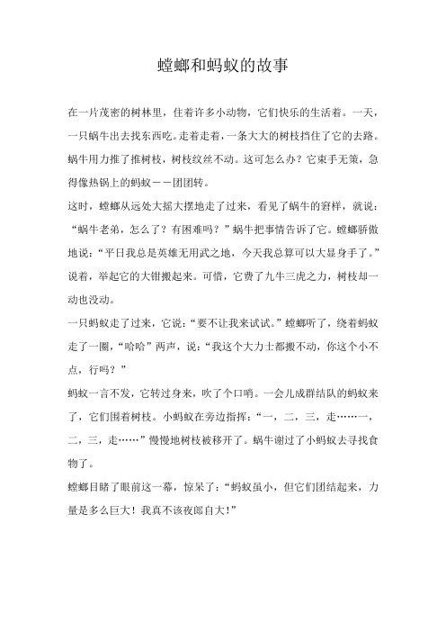 五年级想象螳螂和蚂蚁的故事