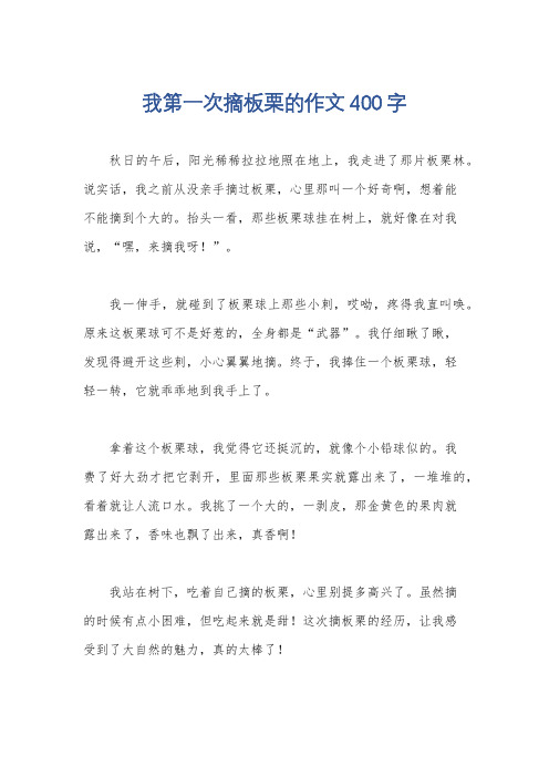 我第一次摘板栗的作文400字