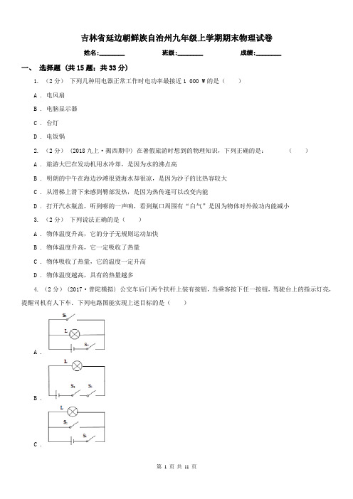 吉林省延边朝鲜族自治州九年级上学期期末物理试卷