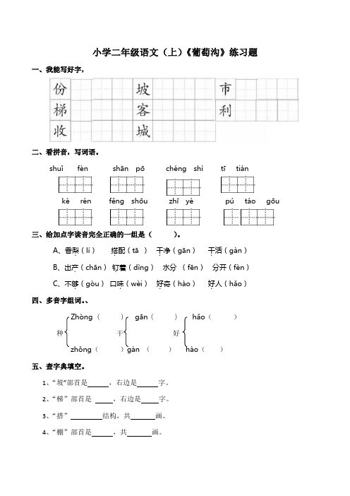 11.葡萄沟 练习题(含答案)