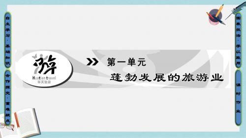 2019-2020年鲁教版高中地理选修三第一单元第1节《长盛不衰的“朝阳产业”》课件(共44张PPT)