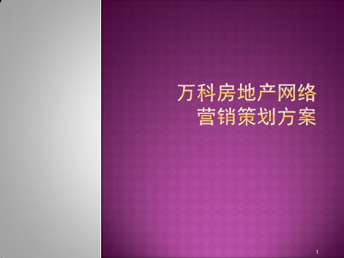 万科房地产网络营销策划方案