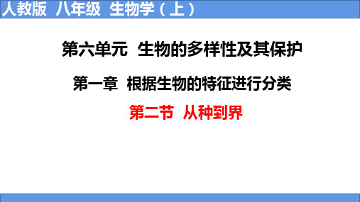 第二节从种到界课件-人教版生物八年级上册