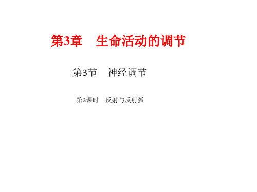 新浙教版科学八年级上册课件：反射与反射弧