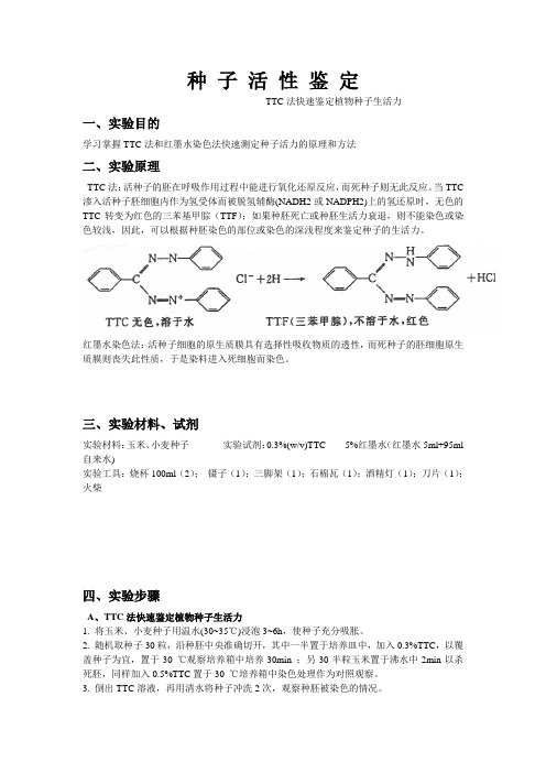 种子活性鉴定