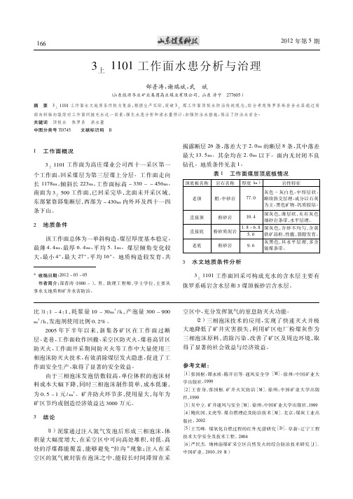 3上1101工作面水患分析与治理