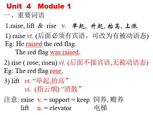 必修一 Unit  4  复习重点词汇及语法