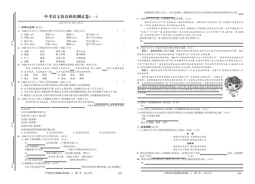 2020年四川省绵阳市中考语文模拟试题