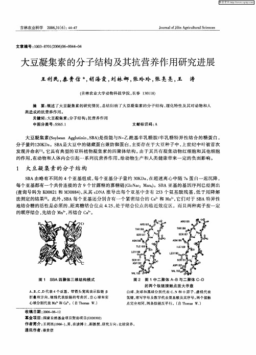 大豆凝集素的分子结构及其抗营养作用研究进展