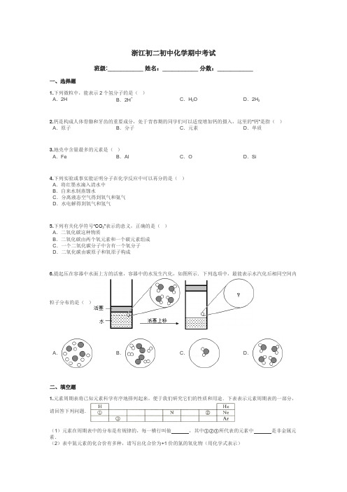 浙江初二初中化学期中考试带答案解析
