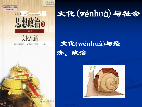 高二政治课件112文化与经济政治3新必修3