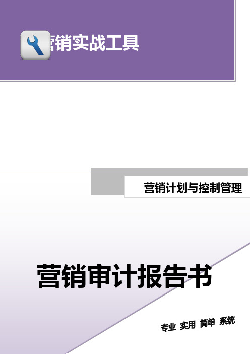 营销审计报告书