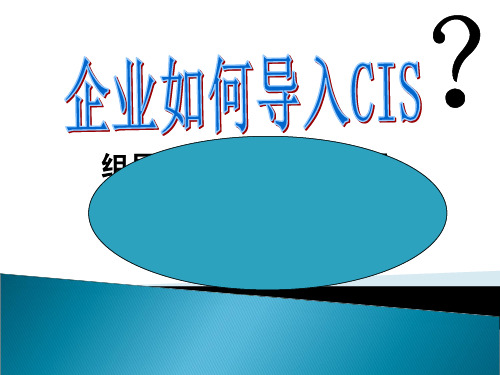 企业如何导入CIS？