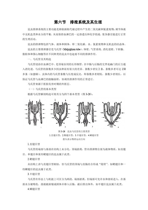 储粮昆虫学：排泄系统及其生理