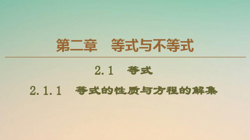 新教材高中数学第2章等式与不等式2.1.1等式的性质与方程的解集课件人教B版必修第一册