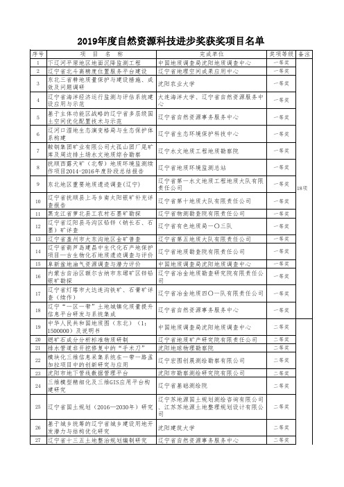 辽宁省2019年度自然资源科技进步奖获奖项目名单