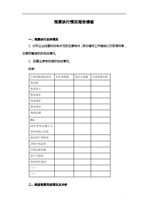 预算执行情况报告模板