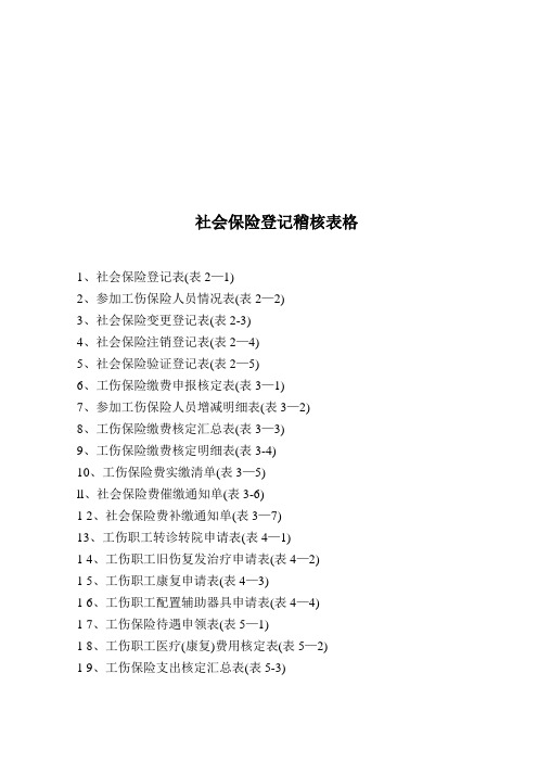 社会保险登记稽核表格