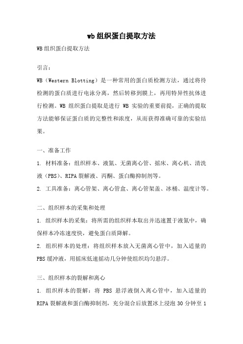 wb组织蛋白提取方法