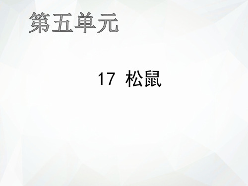 五年级上册语文作业课件-17 松鼠 人教部编版(共13张PPT)