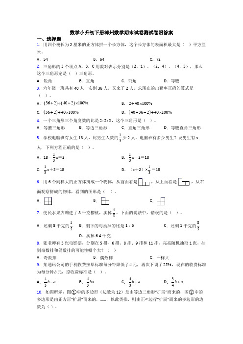 数学小升初下册漳州数学期末试卷测试卷附答案