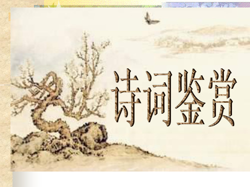 早梅诗词鉴赏
