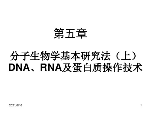 分子生物学研究法