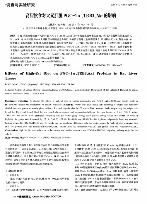 高脂饮食对大鼠肝脏PGC-1α、TRB3、Akt的影响