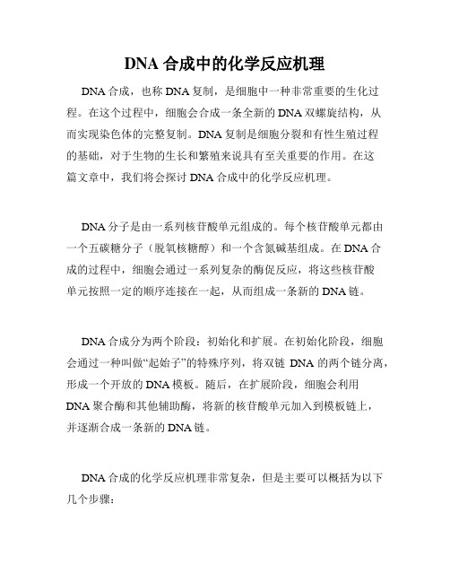 DNA合成中的化学反应机理