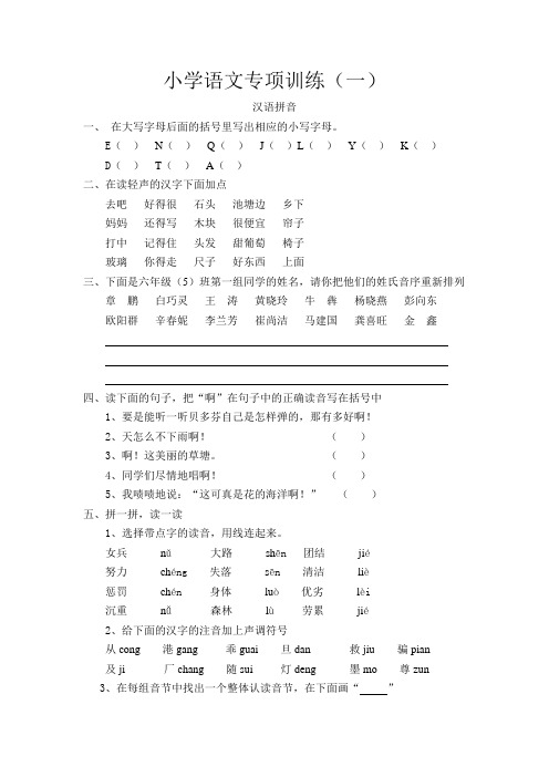 小学语文总复习专项训练1