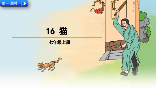 《猫》部编版初中语文