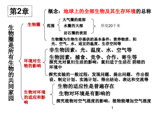 人教版七年级生物上册复习课件ppt