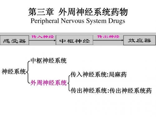 药物化学第三章外周神经系统药物