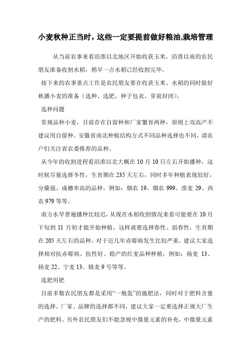 小麦秋种正当时,这些一定要提前做好(栽培管理)
